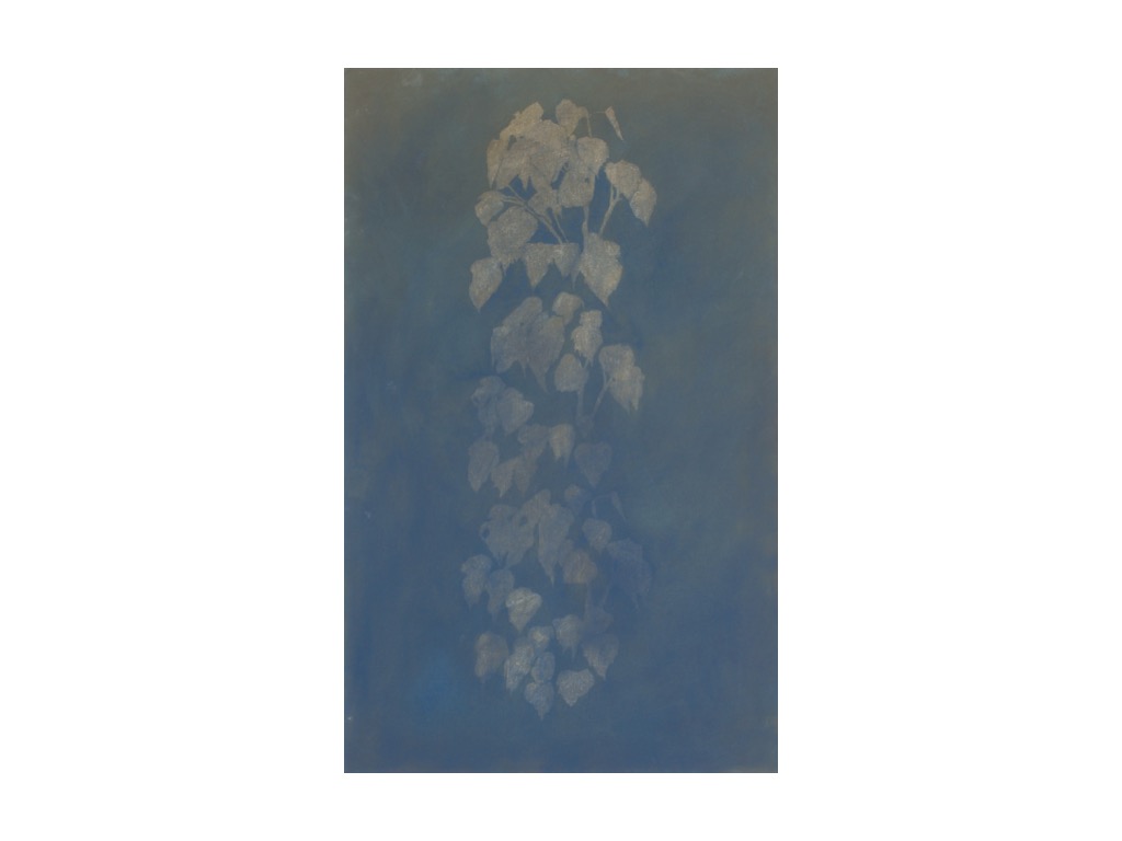 Lövverk. 2025 Oljemåleri på dukpannå. 61x38 cm